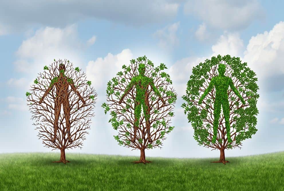 recreational activities