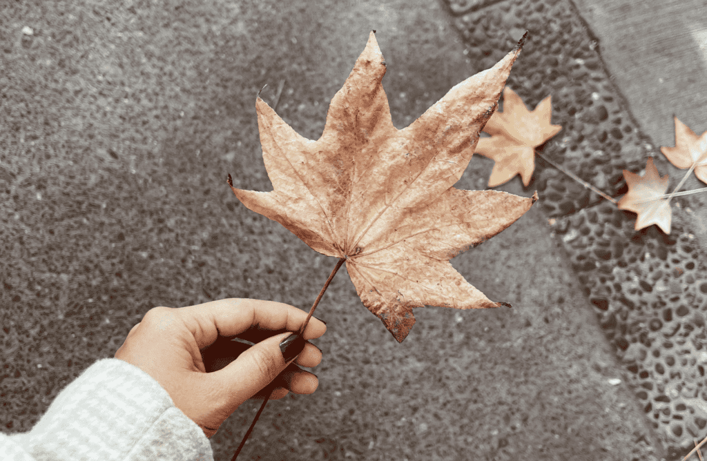 The Drug Enforcement Agency has noticed that immediate release and extended release tablets of Ambien may impact the central nervous system CNS. Clinical pharmacokinetics identify using this sublingual tablet action zolpidem, and knowing zolpidem's half life, may contribute to risks associated with a controlled substance.