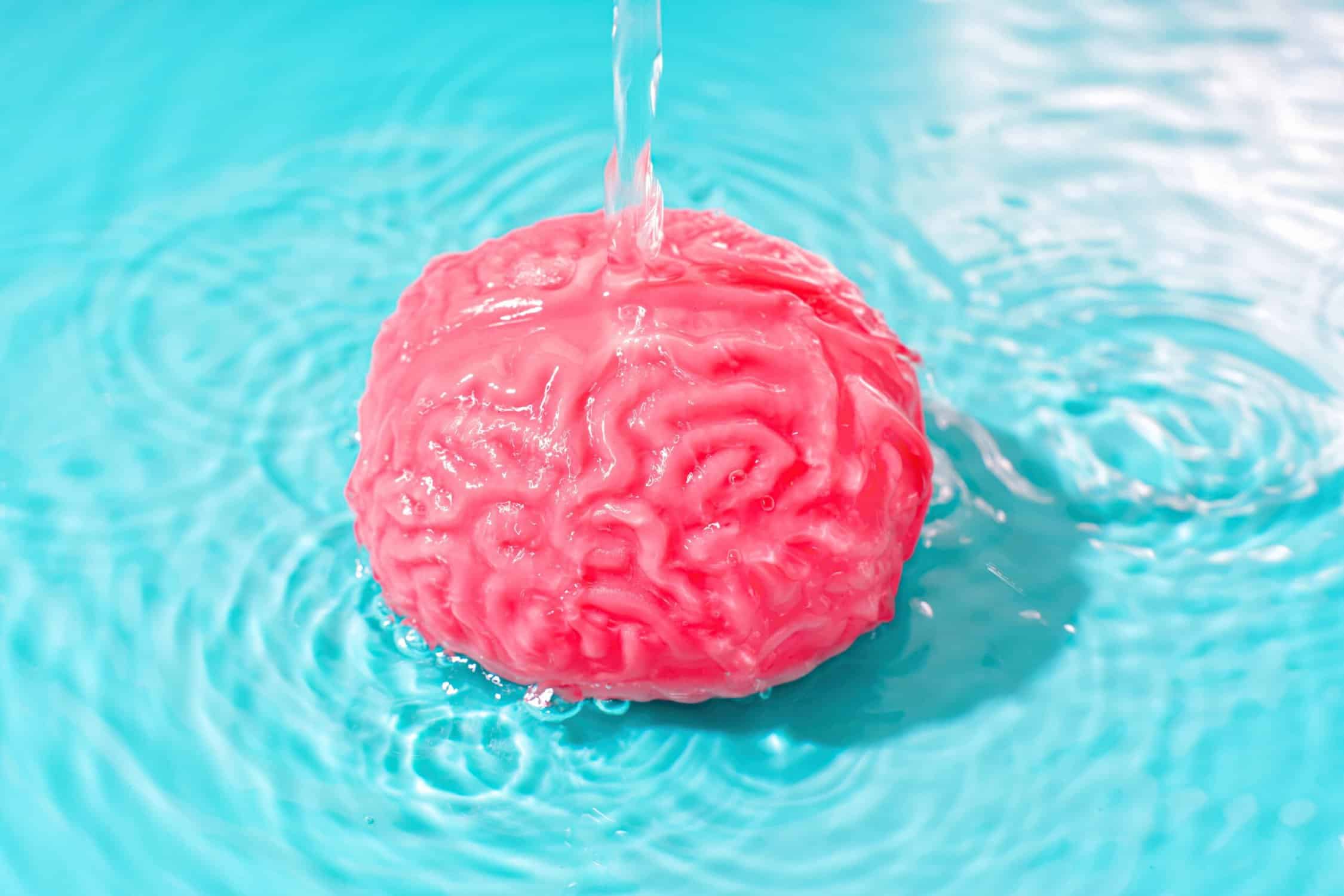 wet brain