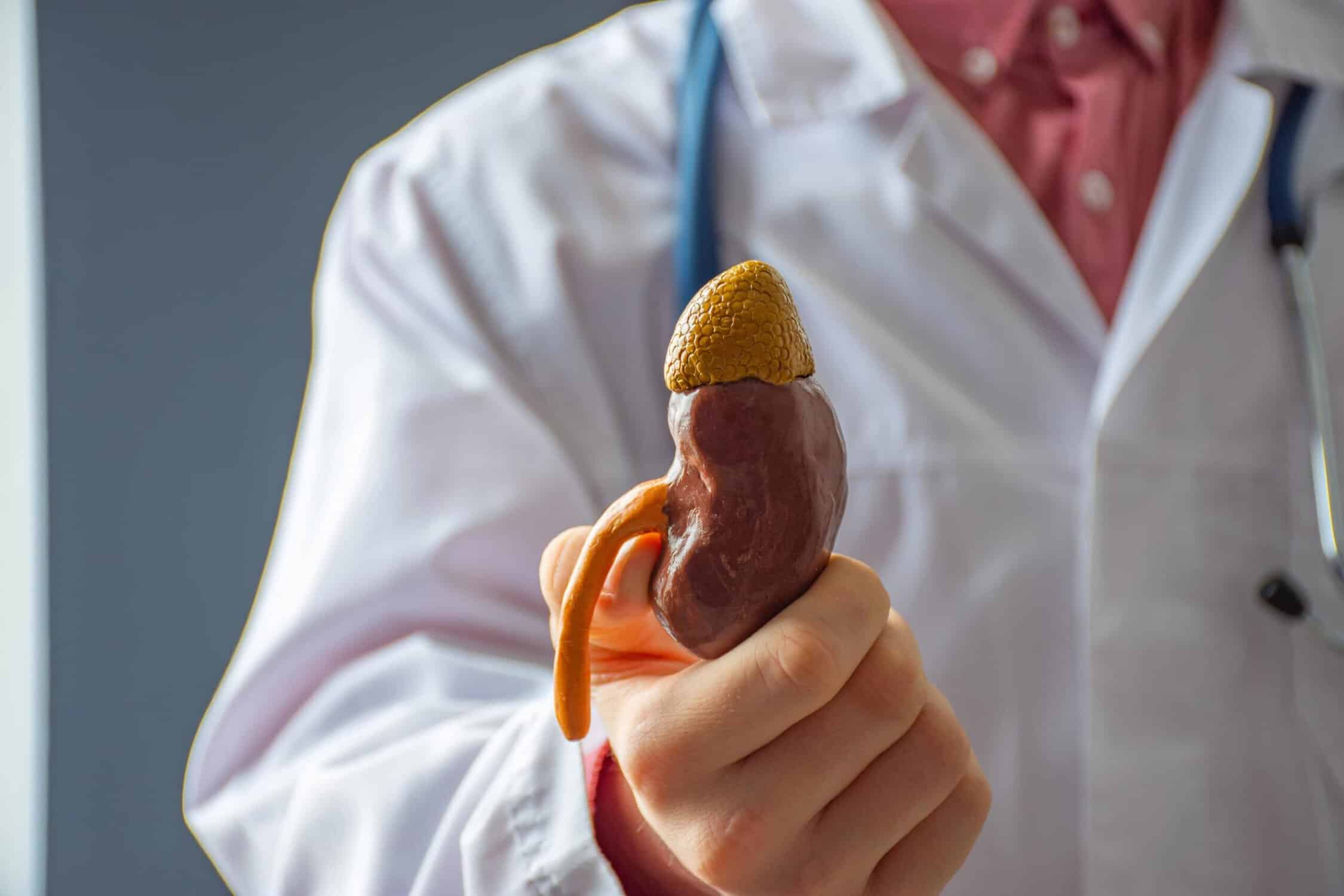 top 10 drugs that cause kidney damage